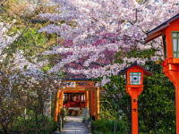 Wall Paper Free Download