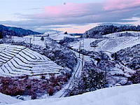 Wall Paper Free Download