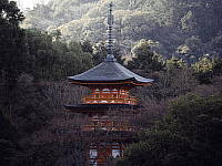 Wall Paper Free Download