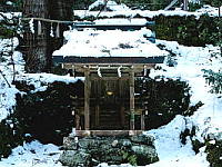 Wall Paper Free Download