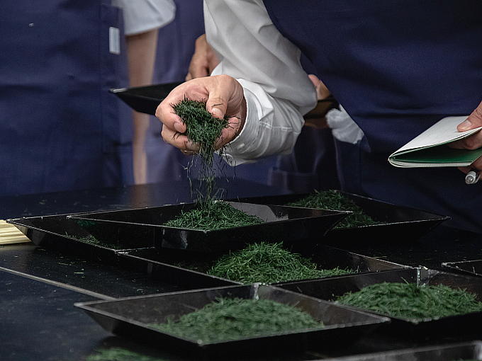 Competition Grade Tea (Limited / Now Available!) - JAPANESE GREEN TEA ...