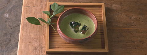Iced Matcha <br>(Iced Tea Recipes)