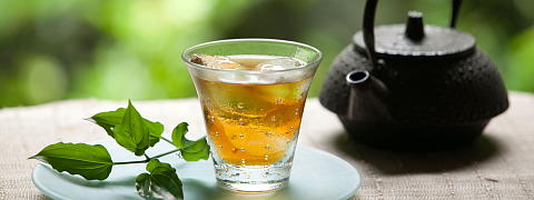 Iced Houjicha<br>(Tea Recipes)