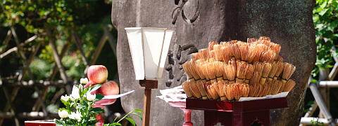 Kuchikiri no Gi ceremony (Efforts for Kuradashi Tea)