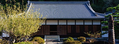 Three Methods to Enhance the Enjoyment (Kuradashi Tea)