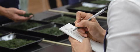 Competition Grade Tea (Limited / Now Available)