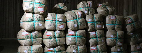 Efforts to Keep Tea Leaves in Good Condition (Shincha News Flash)