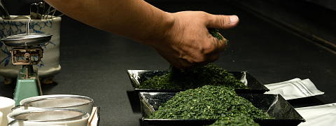 Why is Tencha Flavor a Secret? (Tencha - Pure Elegant Flavor)