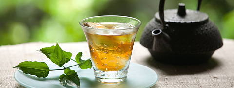 Iced Houjicha (Tea Recipes)
