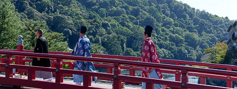 Enhance the Pure Elegant Flavor (Tencha - Pure Elegant Flavor)